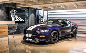 Ford Mustang Shelby GT350 Wallpaper 1920x1080 69003
