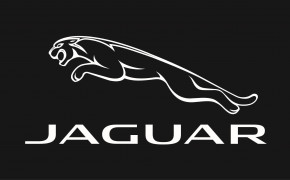 Jaguar Logo Wallpaper 3543x1772 71897