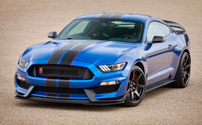 Ford Mustang Shelby GT350 Wallpaper 2880x1800 69008