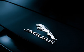 Jaguar Logo Wallpaper 1280x854 71889