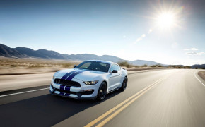 Ford Shelby GT350 Wallpaper 2560x1600 69055