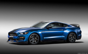 Ford Shelby GT350 Wallpaper 2560x1600 69053