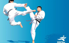 Taekwondo Wallpaper 1024x768 66891
