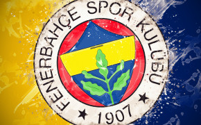 Fenerbahçe S.K Wallpaper 3840x2400 66595