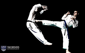 Taekwondo Wallpaper 1920x1200 66848