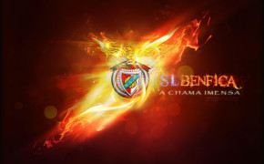 Benfica Wallpaper 2560x1600 66193