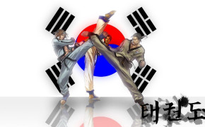 Taekwondo Wallpaper 1600x900 66881
