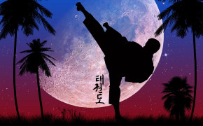 Taekwondo Wallpaper 1600x900 66855