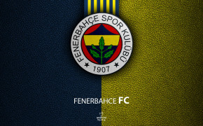 Fenerbahçe S.K Wallpaper 3840x2400 66593