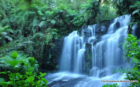 Waterfall Screensavers Free Wallpaper 00742