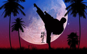 Taekwondo Wallpaper 1600x1200 66859