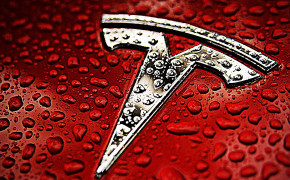 Tesla Logo Wallpaper 72828