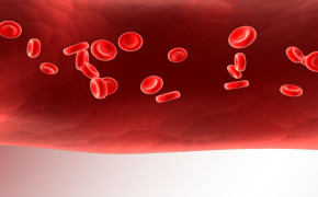 Blood Red Powerpoint Background Wallpaper 06708