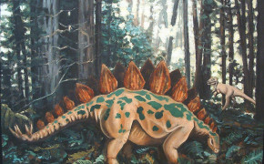 Stegosaurus Widescreen Wallpapers 80032