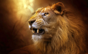 Roaring Lion Wallpaper 3840x2160 82320