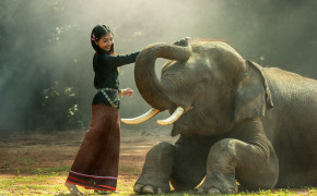Asian Elephant Wallpaper 74031