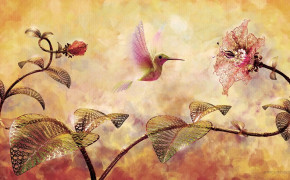 Fantasy Hummingbird Background Wallpaper 76171