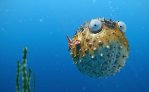 Pufferfish Background Wallpapers 77848