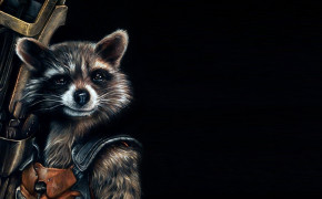 Raccoon HD Wallpaper 78011