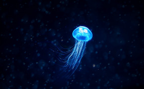 Jellyfish HD Background Wallpaper 77172