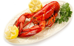 Lobster Wallpaper HD 74544