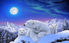 Snow Polar Bear Wallpaper 1920x1500 81684