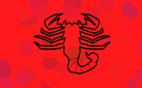 Scorpion Animal Wallpaper 1920x1200 81651