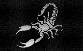 Scorpion Animal Desktop Wallpaper 75757
