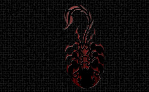 Scorpion Animal High Definition Wallpaper 75763