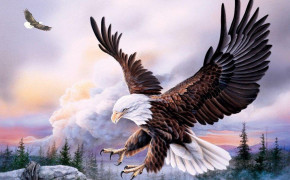 Bald Eagle Desktop Wallpaper 74177