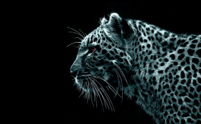 Snow Leopard Background Wallpapers 79682
