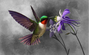 Purple Hummingbird HD Background Wallpaper 77923