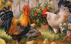 Rooster Wallpapers Full HD 78652