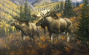 Moose Wallpaper 2287x1557 81323