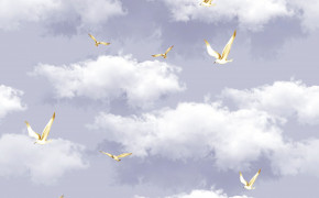 Seagull Wallpapers Full HD 79179