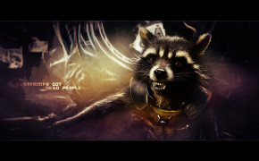 Raccoon Best HD Wallpaper 78004
