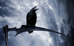 Raven Background Wallpapers 78123