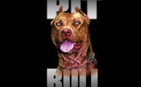 American Pit Bull Terrier HD Desktop Wallpaper 73686