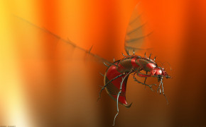 Mosquito Background Wallpapers 75228