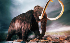 Mammoth Background HD Wallpapers 74810