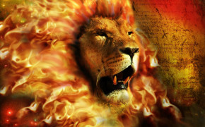 Fire Lion Wallpaper 2000x1397 82105