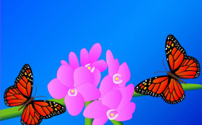 Ulysses Butterfly Wallpaper HD 80936