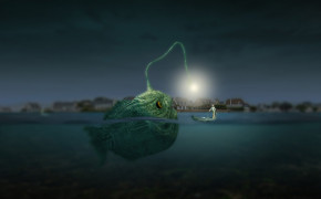 Anglerfish Background Wallpapers 73807