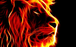 Fire Lion Wallpaper 2560x1600 82106