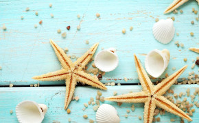Starfish HD Background Wallpaper 79992