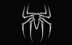 Spider HD Desktop Wallpaper 79806