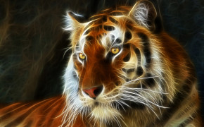 3D Tiger Images 07466