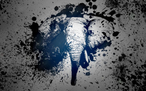 Elephant Art Pictures 07877