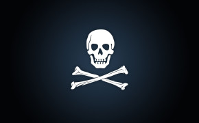 Evil Pirate Flag Pics 07894