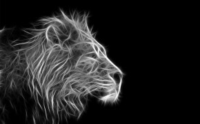 Black Lion Background Wallpapers 76094